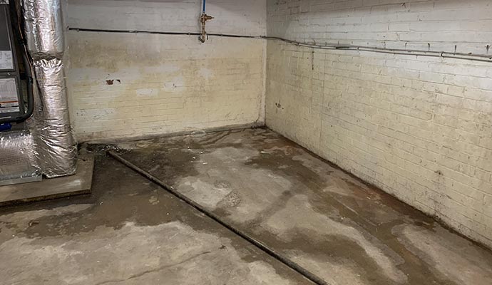 A moist basement A moist basement